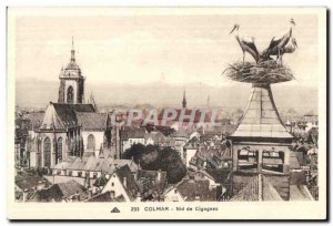 Old Postcard Colmar Nide Storks