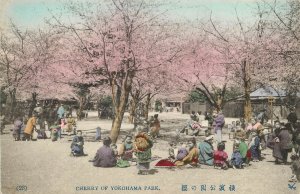 Japanese Postcard Cherry Blossoms Yokohama Park Sakuranosono Performance