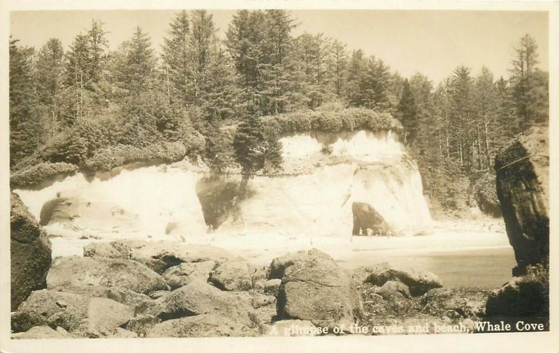 United States real photo postcard a glimpse of the caves beach Whale Cove