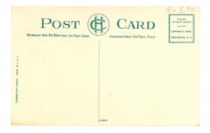 NY - Rochester. Highland Park, Rhododendrons