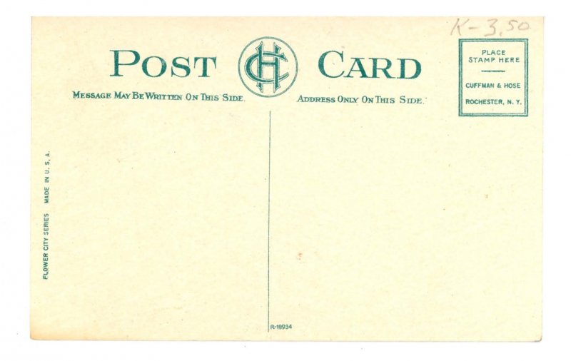 NY - Rochester. Highland Park, Rhododendrons