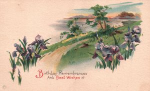 Vintage Postcard Birthday Remembrances And Best Wishes Lily Landscape Greeting