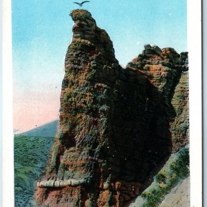 c1910s Yellowstone Park, WY Eagle Nest Rock Gardiner JE Haynes Photo #10071 A226