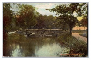 Postcard NY Rustic Bridge To Willow Island Niagara Falls New York