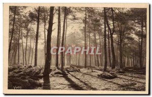 Old Postcard Gascogne Landes Last sun d & # 39ete first haze & # 39automne