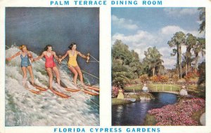 Florida Cypress Palm Terrace 1951 Menu Water Ski Women Postcard 22-10168