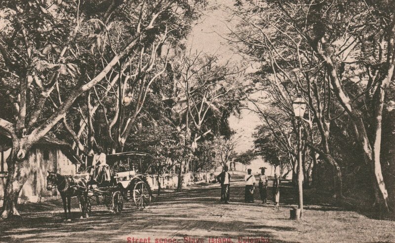 Vintage Postcard Street Scene Slave Island Suburb in Colombo Sri Lanka