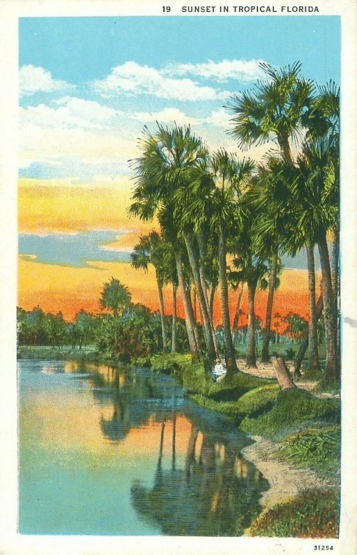 Sunset in Tropical Florida, Palm Trees Reflected in Water Colorful Postcard