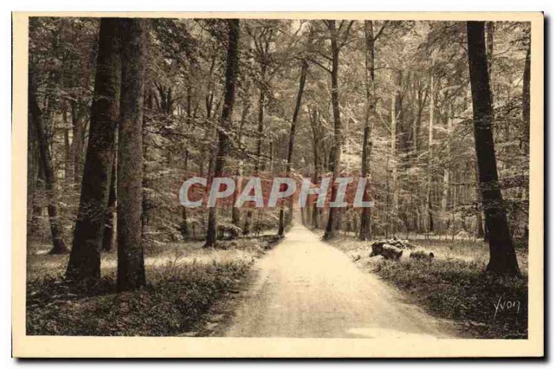 Old Postcard Fontainebleau S and M la Foret Route Round