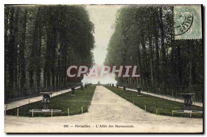 Old Postcard Versailles Allee Marmousets