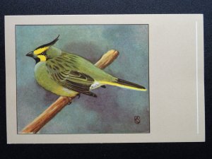 Bird Theme GREEN CARDINAL c1950s Postcard by P. Sluis / Series 1 No.2