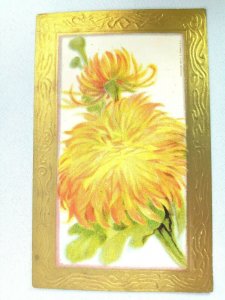 Vintage Postcard Best Wishes Greetings Orange & Yellow Flower Embossed