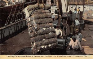 Pensacola Florida Loading Cotton onto Ship Vintage Postcard AA32293