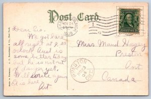 Swan, John Ball Park, Grand Rapids Michigan, Antique 1908 AC Bosselman Postcard