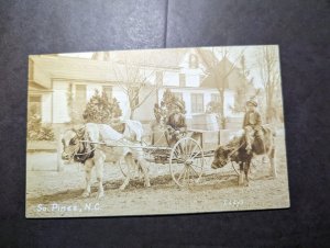 Mint USA Postcard Children Riding Cows Southern Pines NC North Carolina