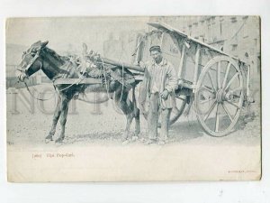 3083288 ITALY Tipi Popolari Driver & DONKEY carriage Vintage PC