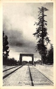 Palo Alto Tree Palo Alto CA