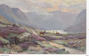Loch Muick, 1900-1910s; TUCK 7148