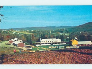 Pre-1980 RESORT SCENE South Lee - Near Pittsfield Massachusetts MA AE2787