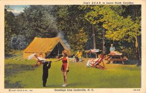 Leaksville North Cartolina Camp Scene Black Bear Antique Postcard K103909