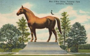 Vintage Postcard 1959 Man O'War Memorial Statue Faraway From Lexington Kentucky