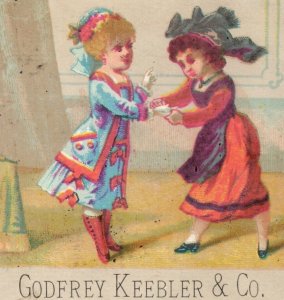 1880s Godfrey Keebler & Co. Crackers Biscuits Cakes #10 Fab! P125