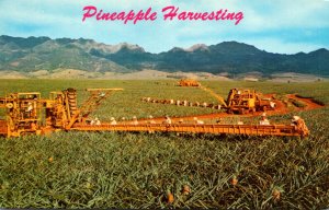 Hawaii Pineapple Harvesting With Libby's Modern Machinery