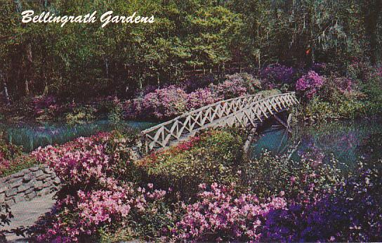 Alabama Mobile Rustic Bridge At Bellingrath Gardens