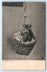 CUTE KITTENS in a BASKET Hooked to a Scale- 1904 Tuck Postcard