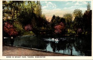 Washington Tacoma Scene In Wright Park