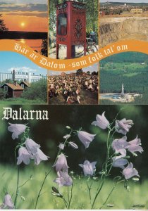 Dalarna Sweden Telephone Box Flowers 2x Postcard s