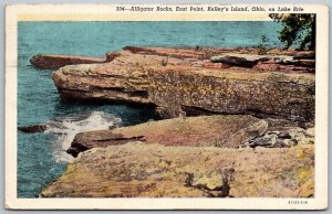 Kelley's Island Ohio on Lake Erie 1945 Postcard Alligator Rocks East Point