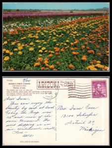 ABRO US 1963 Sampling of Arizona's Finest Flowers Phoenix Az.