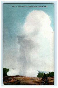 Old Faithful Yellowstone National Park  Vintage Postcard 