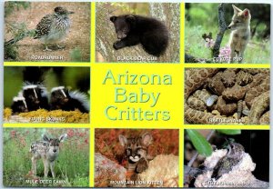 Postcard - Arizona Baby Critters - Arizona