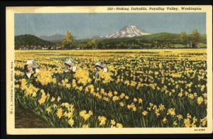Linen Postcard Highway,USA Sahara Desert,Old Car,CA