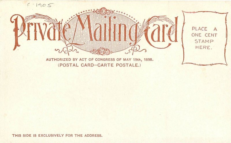 c1905 Washington DC Congressional Library private undivided Postcard 25-646