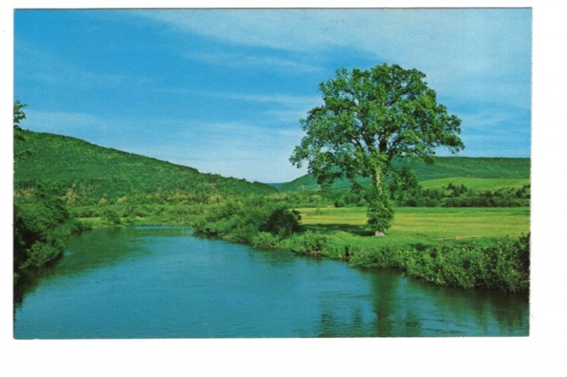 Margaree Forks Bridge Pool. Cape Breton, Nova Scotia