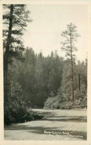 Dark Canyon Mescalero Reservation 1920s RPPC New Mexico Postcard 13155