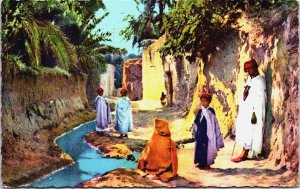 Algeria Scenes & Types d'Afrique du Nord Vintage Postcard C190