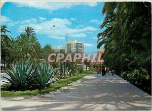 Postcard Modern Elche (Alicante) View City Park