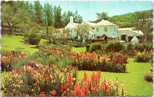 Postcard Bermuda - The garden at Wateriot Inn, Southampton