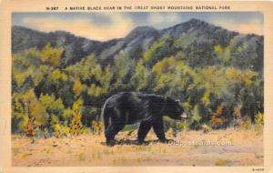 Bear Great Smoky Mountains National Park Unused 