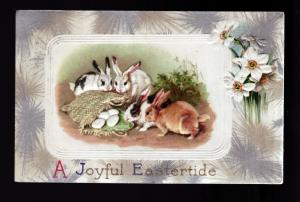 U S 1910 Easter Embossed Picture Postcard!