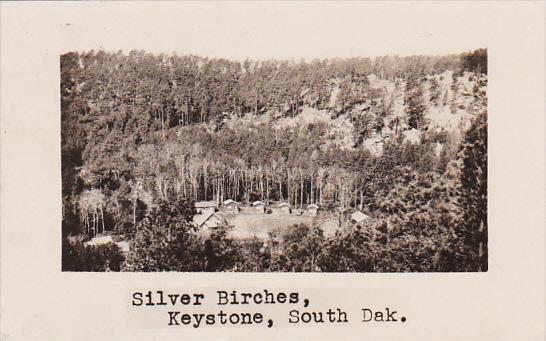 Silver Birches Lodge Keystone South Dakota Real Photo