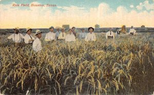 Houston Texas Rice Field Farming Scene Vintage Postcard AA62114