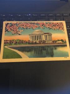 Vintage Postcard; Jefferson Memorial, Cherry Blossoms - washington DC