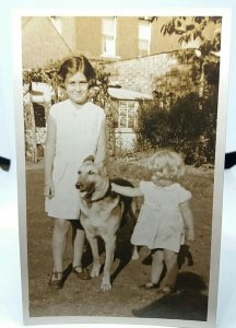 Two Young Girls with Their German Shepherd Dog Beautiful 1960s Photo/Postcard