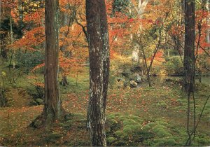 Japan Kyoto Moss Garden of Saiho-Ji