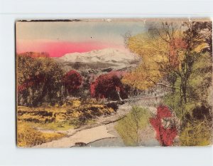 Postcard A Charming Vista Colorado Springs Colorado USA